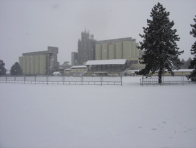 Beli Manastir - zimi